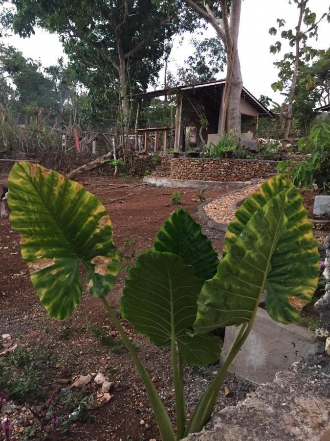 Maya Rustic Hotel Uluwatu Buitenkant foto